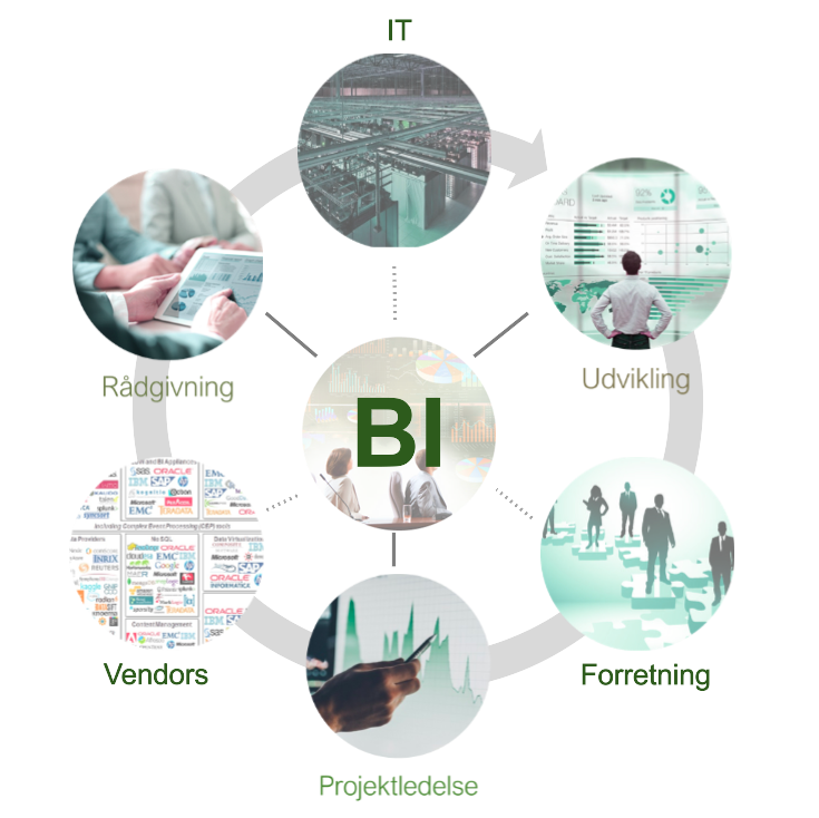 BIWise Kompetencer - IT, Udvikling, Forretning, Projektledelse, Venders og Rådgivning